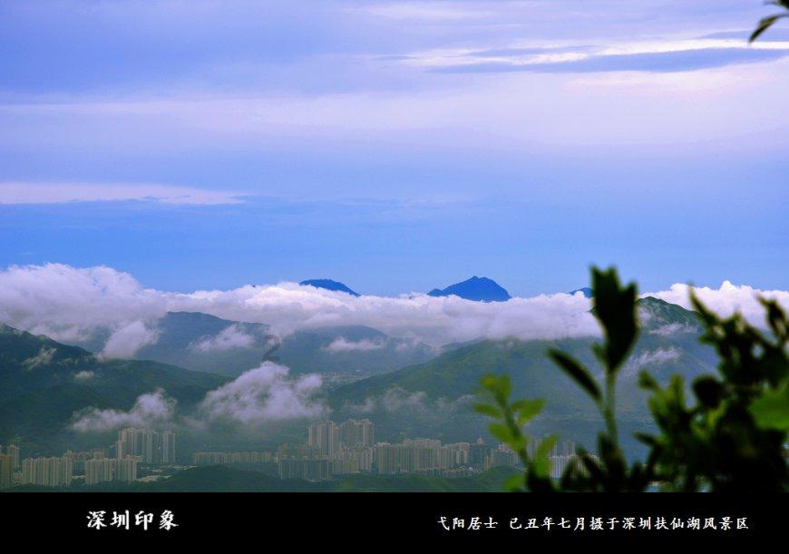 狗子:麻麻!快递停发之前,赶紧把我的粮给囤上~