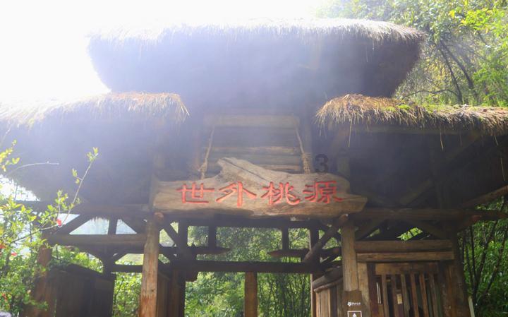 山东男篮“三分雨”降服龙狮，高诗岩生日之夜收赢球大礼