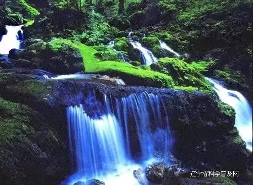 苏菲亚的休闲装